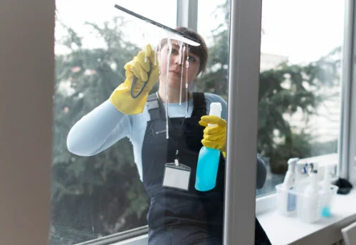 Nettoyage de vitres intérieures et extérieures à Endoufielle